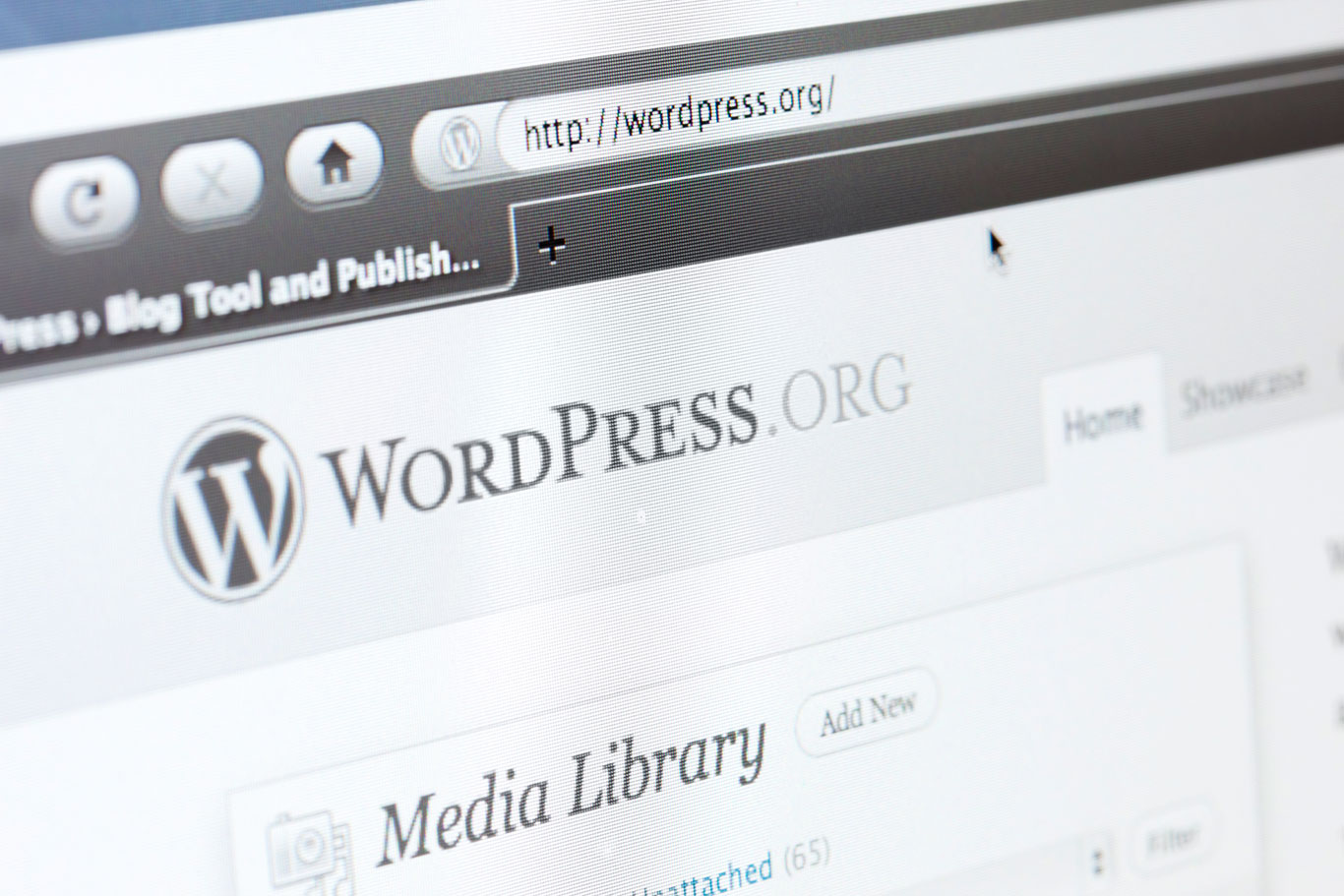 wordpress development oxford